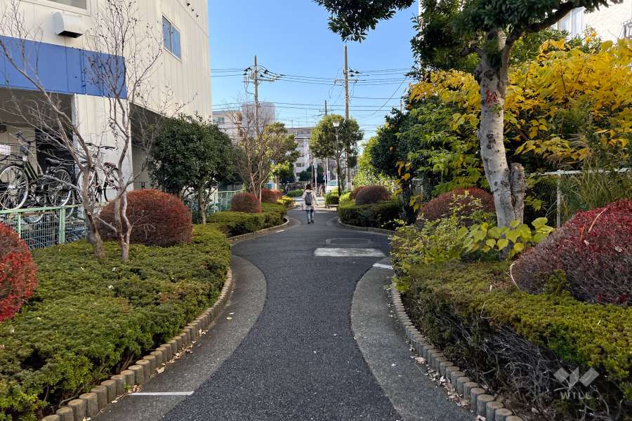 敷地南側の通路（西側から）