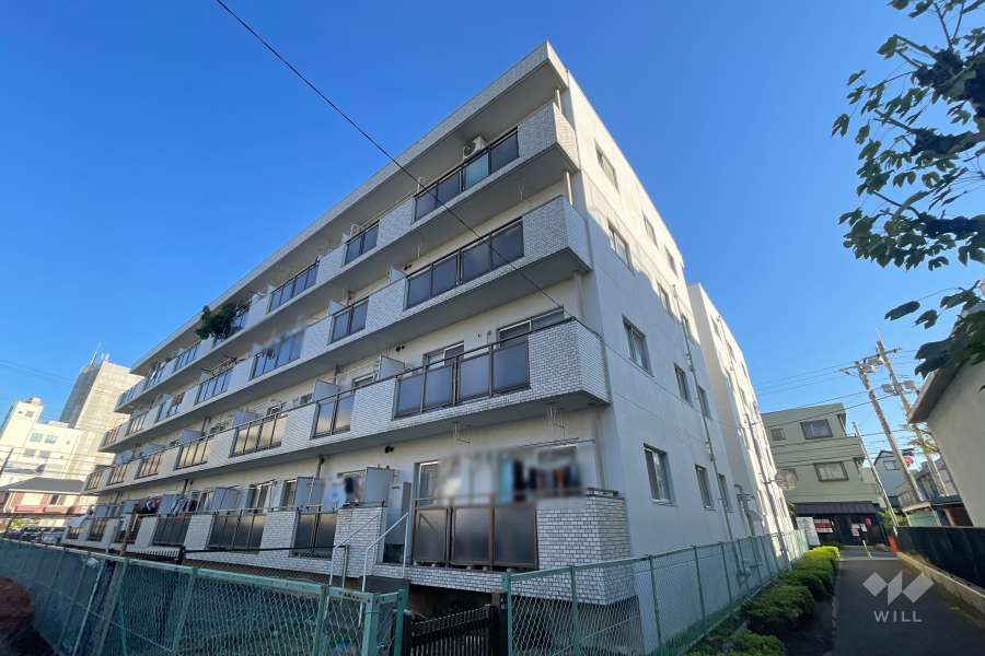 セブンスターマンション金町の外観（南西側から）　