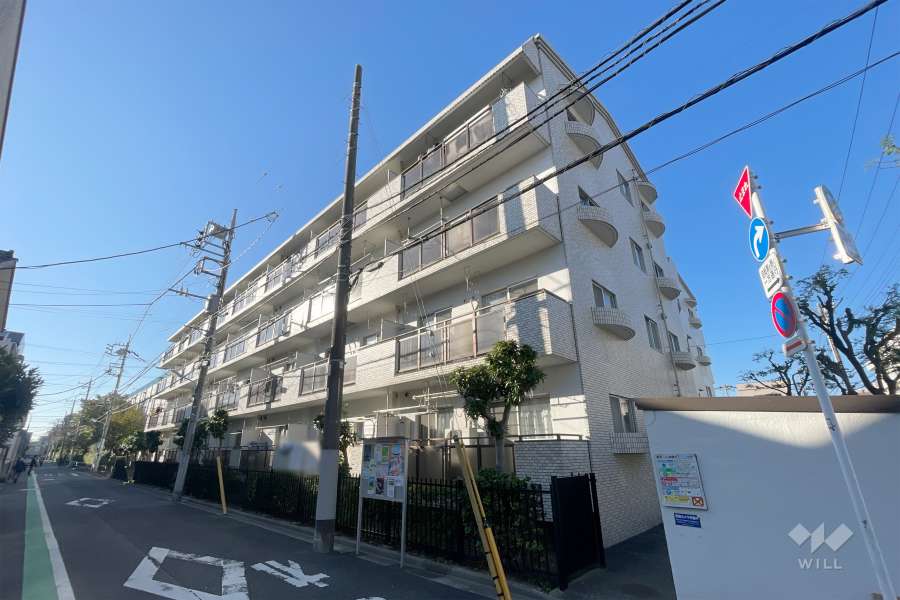 セブンスターマンション金町の外観（北東側から）　