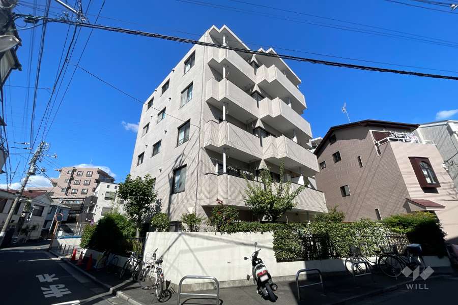セントエルモお花茶屋の外観（南側から）