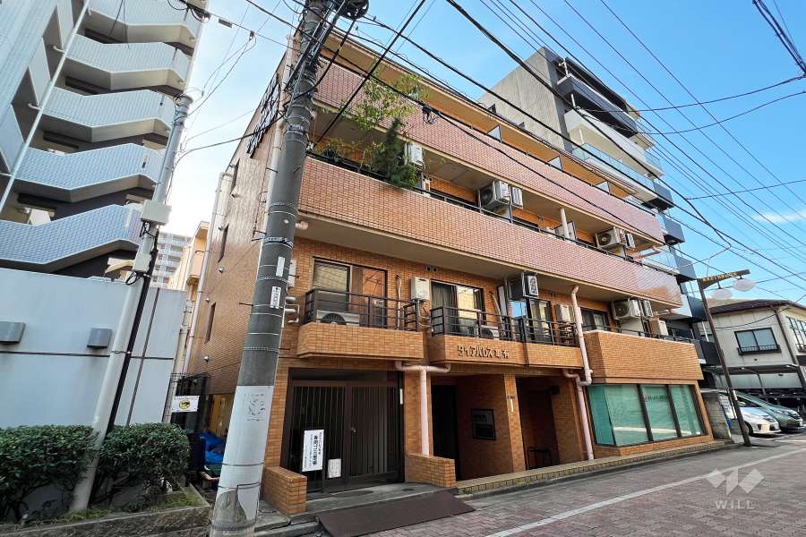 ダイアパレス亀有の外観（南東側から）