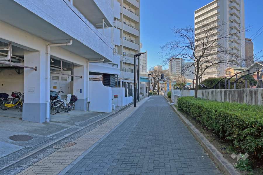 敷地の北西側前面道路（北東側から）