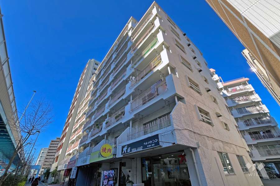 たつみ橋マンションの外観（東側から）
