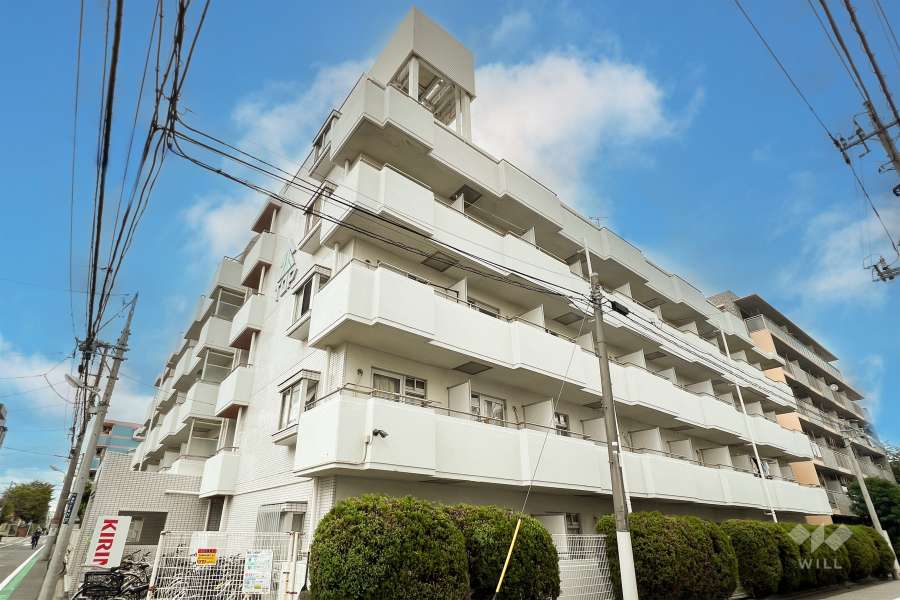 トップ金町の外観（南西側から）