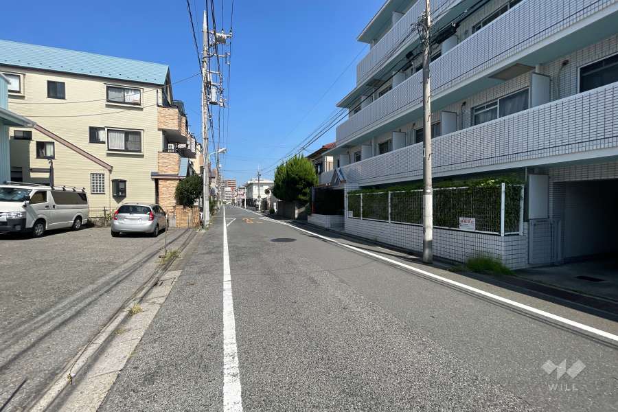 敷地の西側前面道路（南側から）