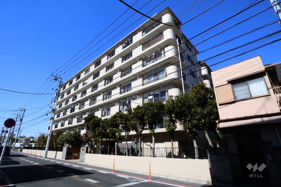 ニックハイムお花茶屋の外観(南東側から)