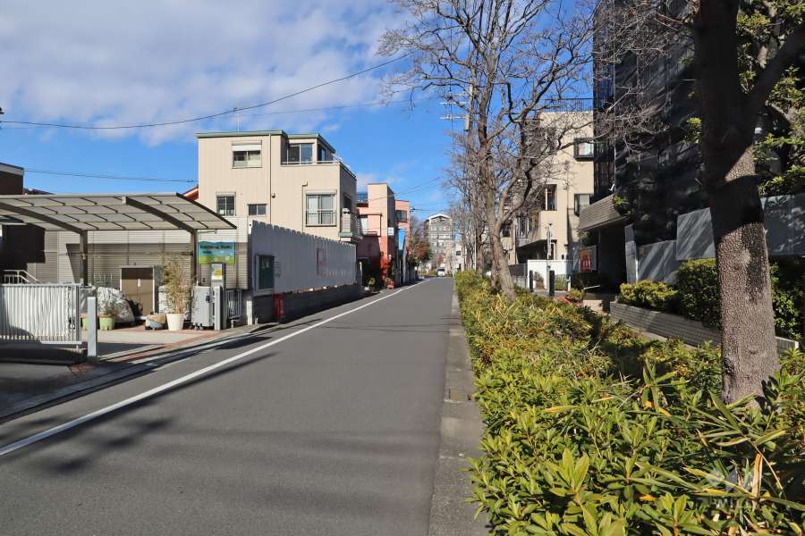 敷地西側の前面道路(南側から)