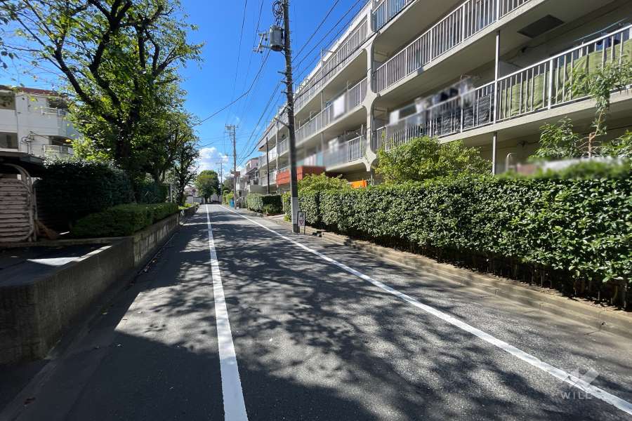 敷地南側の前面道路　