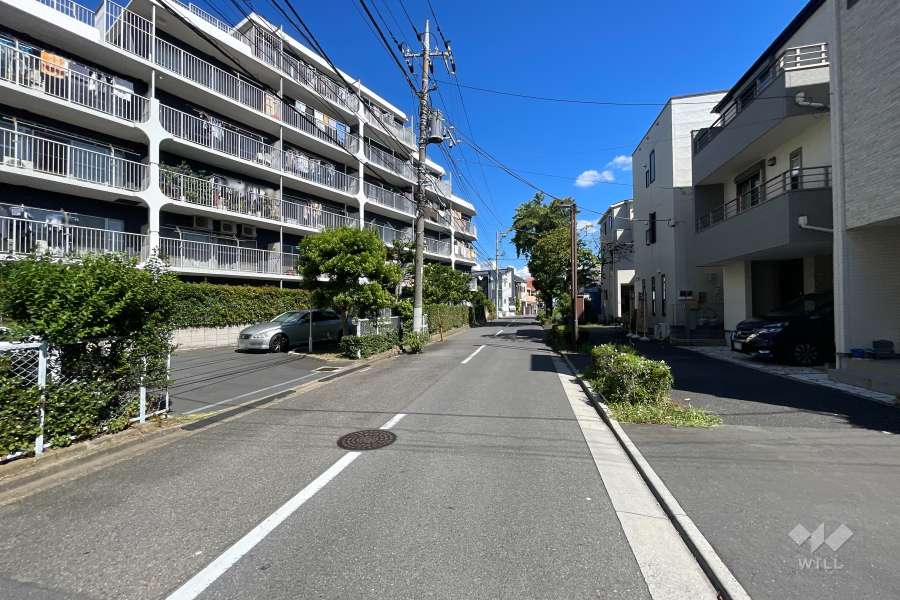 敷地の南側前面道路（西側から）