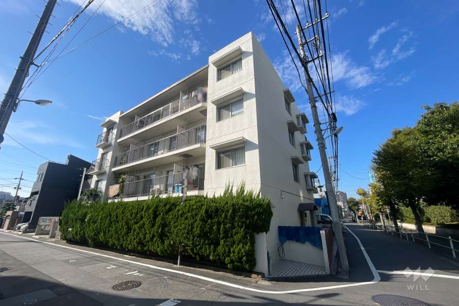 パロス金町の外観（南東側から）