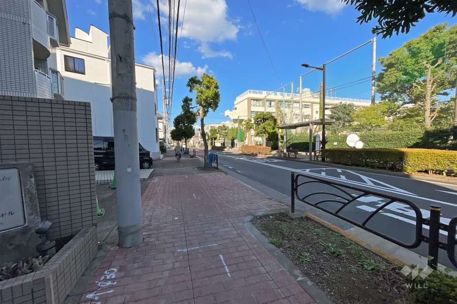 敷地東側の前面道路（南側から）