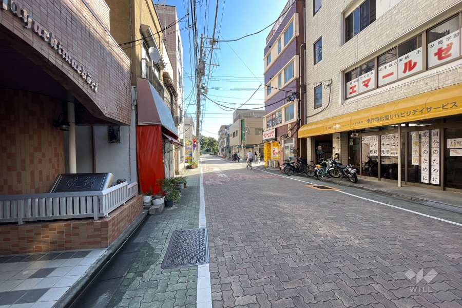 敷地の南側前面道路（西側から）