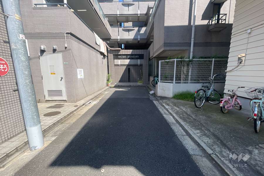 敷地の西側前面道路（北側から）