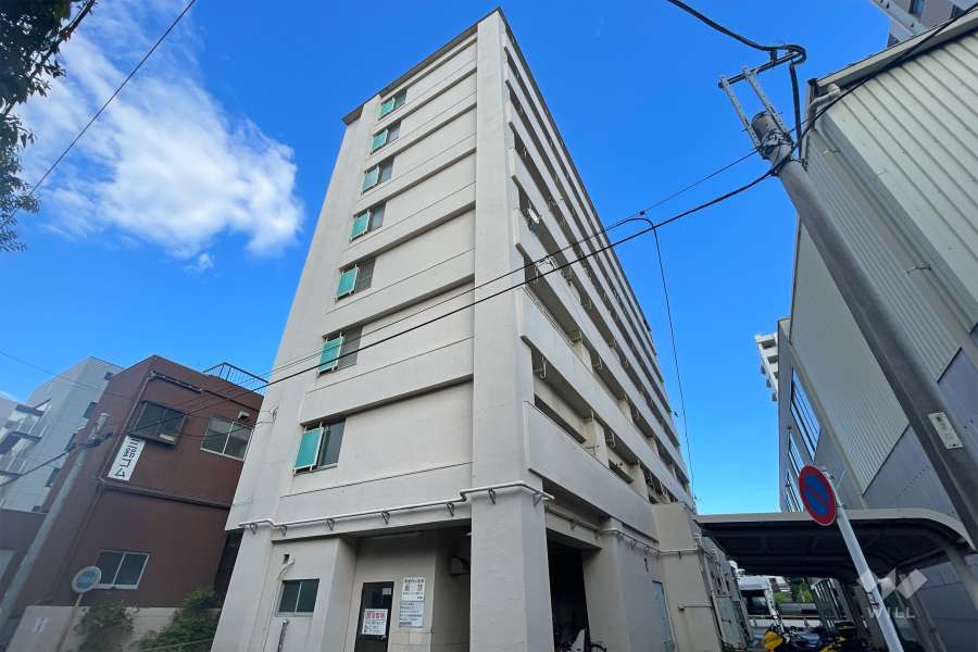 亀有白鳥マンションの外観（南西側から）　　