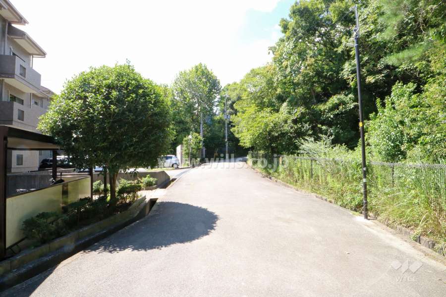 マンションの北側前面道路(東側から-)