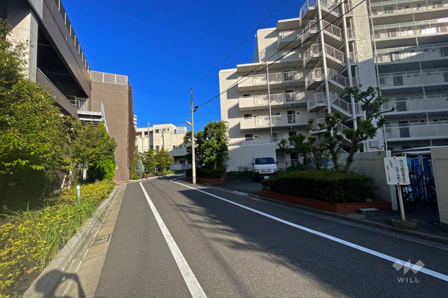 敷地北側の前面道路（西側から）