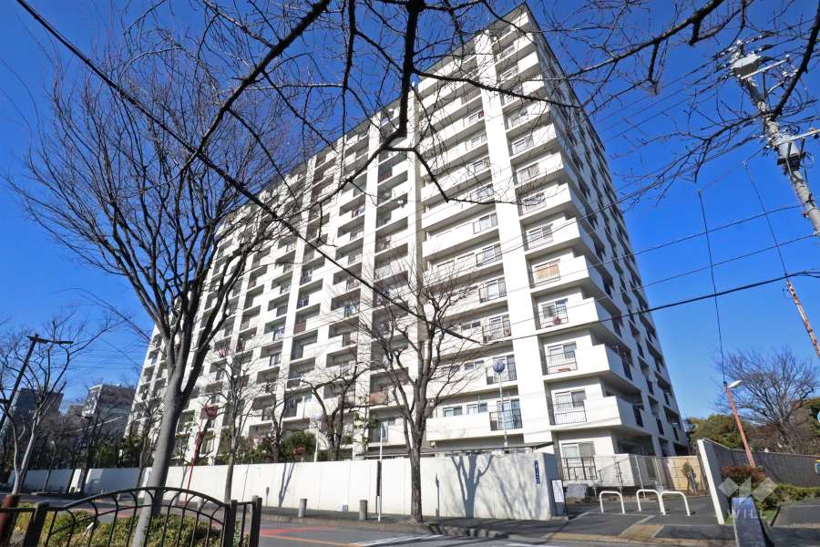 東建金町マンションの外観(南西側から)