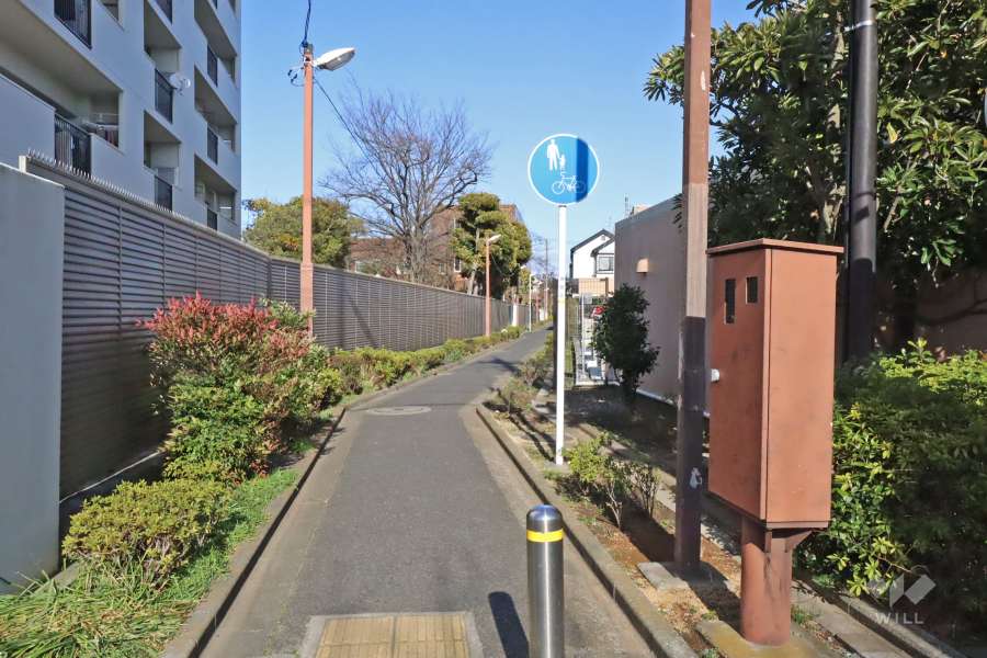敷地南側の前面道路(西側から)