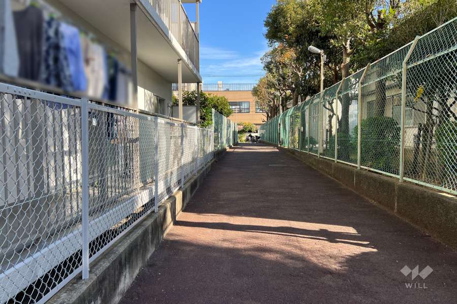 敷地南東側の前面道路（南西側から）