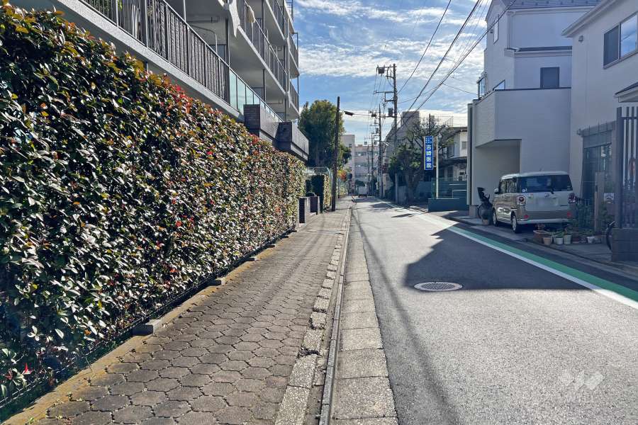 敷地西側の前面道路（北側から）