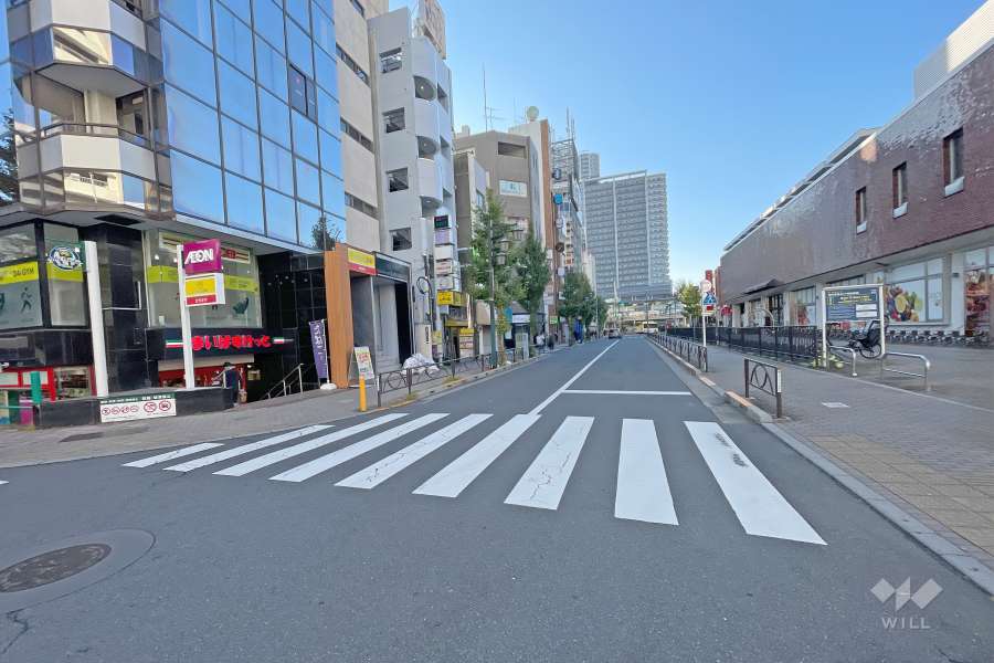 敷地西側の前面道路（北側から）