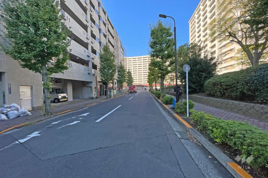敷地北側の前面道路（東側から）