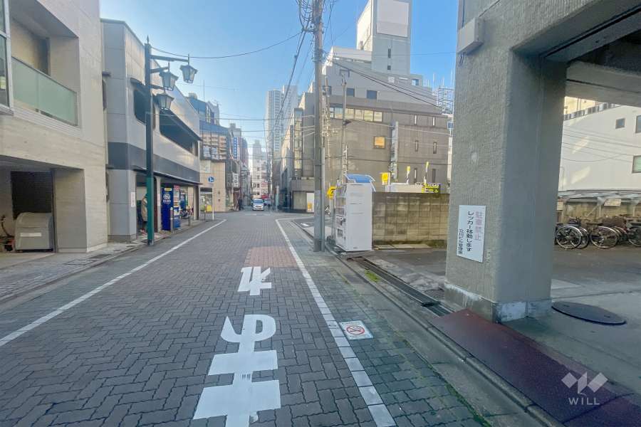 敷地東側の前面道路（北側から）