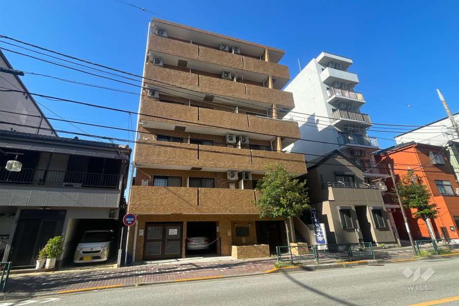 ライオンズマンション立石の外観（南西側から）