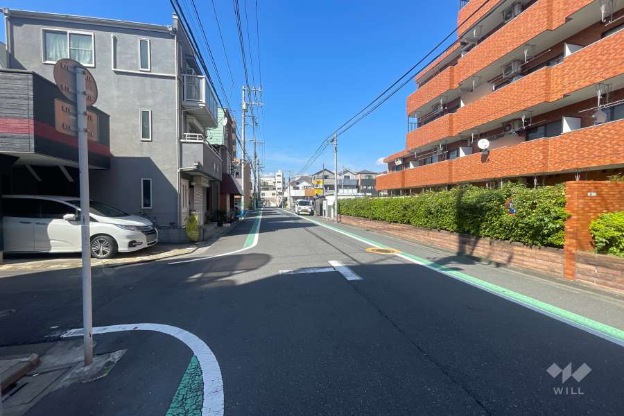 敷地の西側前面道路（南側から）