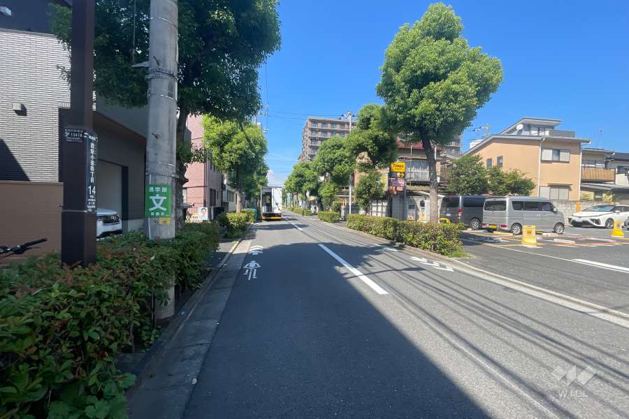 敷地の東側前面道路（南側から）