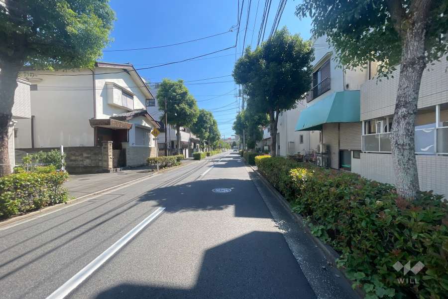 敷地の東側前面道路（北側から）
