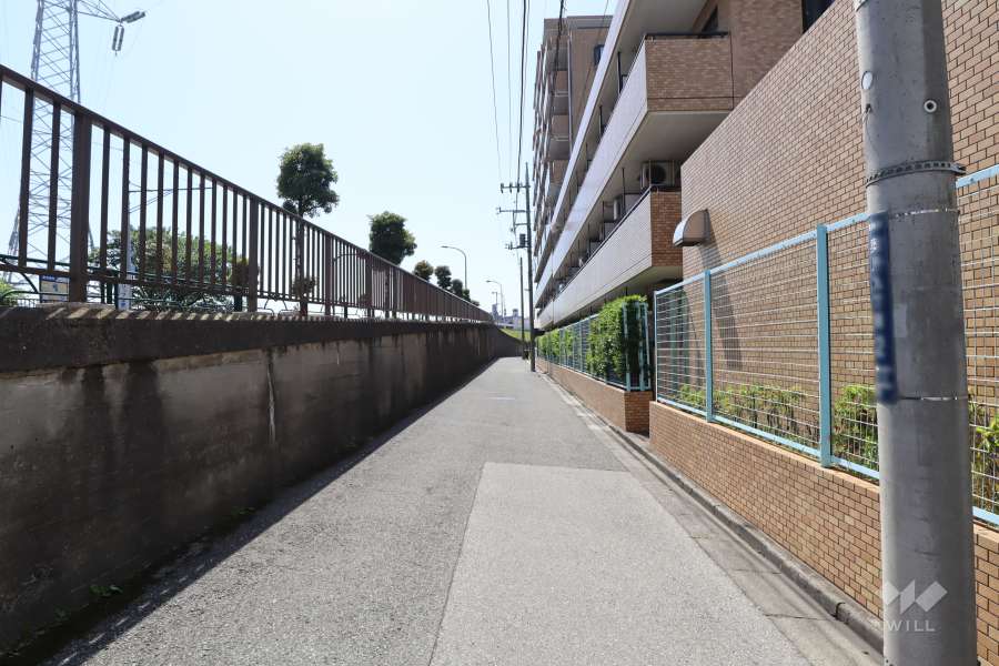 敷地の南側前面道路（東側から）