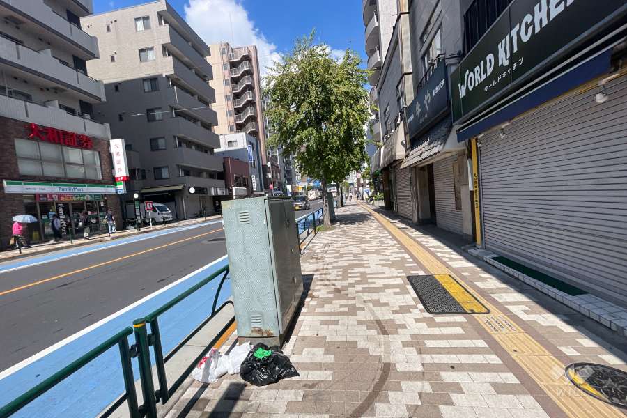 敷地南西側の前面道路（南東側から）