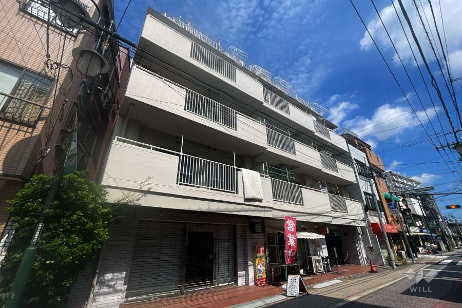 ハイネス新小岩の外観（南西側から）