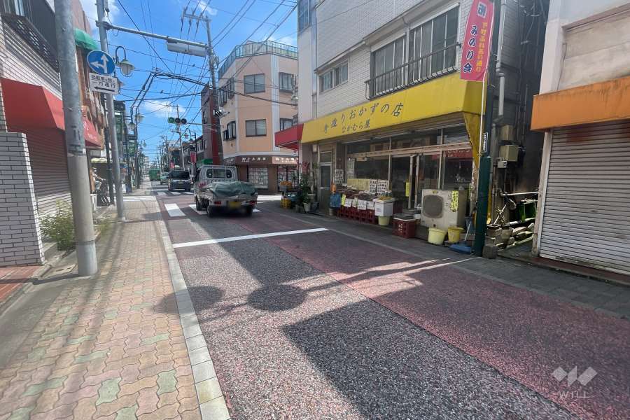 敷地の南側前面道路（西側から）