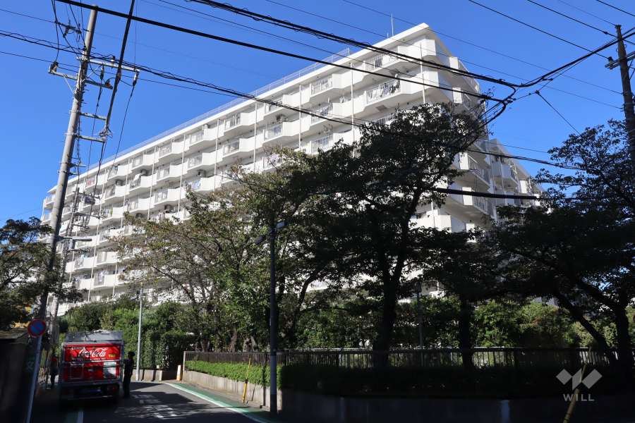 白鳥スカイマンションの外観(南東側から)