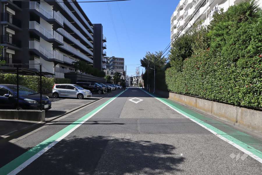 敷地南側の前面道路(東側から)