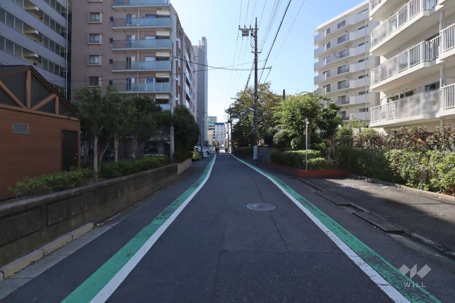 敷地東側の前面道路(北側から)