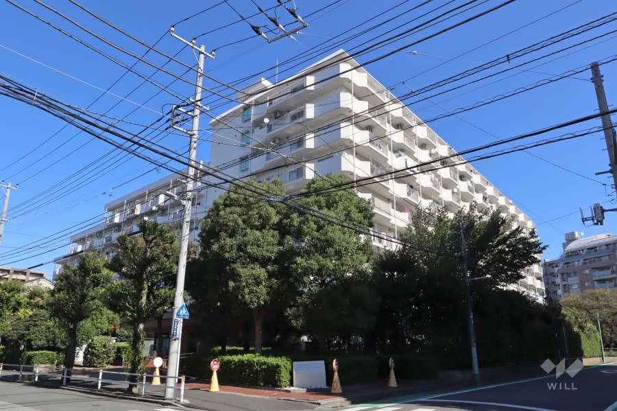 白鳥スカイマンションの外観(南西側から)
