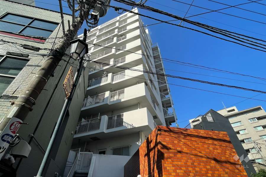 パシフィック新小岩の外観（南東側から）
