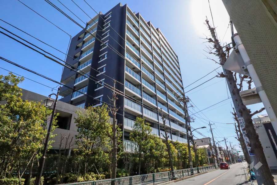 シティハウス新柴又ステーションコートの外観(北西側から)