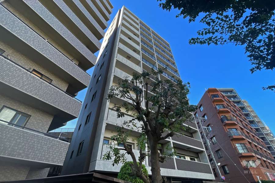 レックスお花茶屋ツインレジデンスウエストの外観（南東側から）