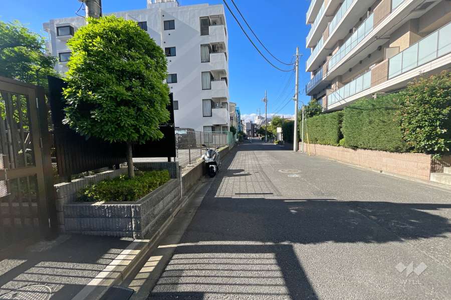 敷地東側の前面道路（南側から）