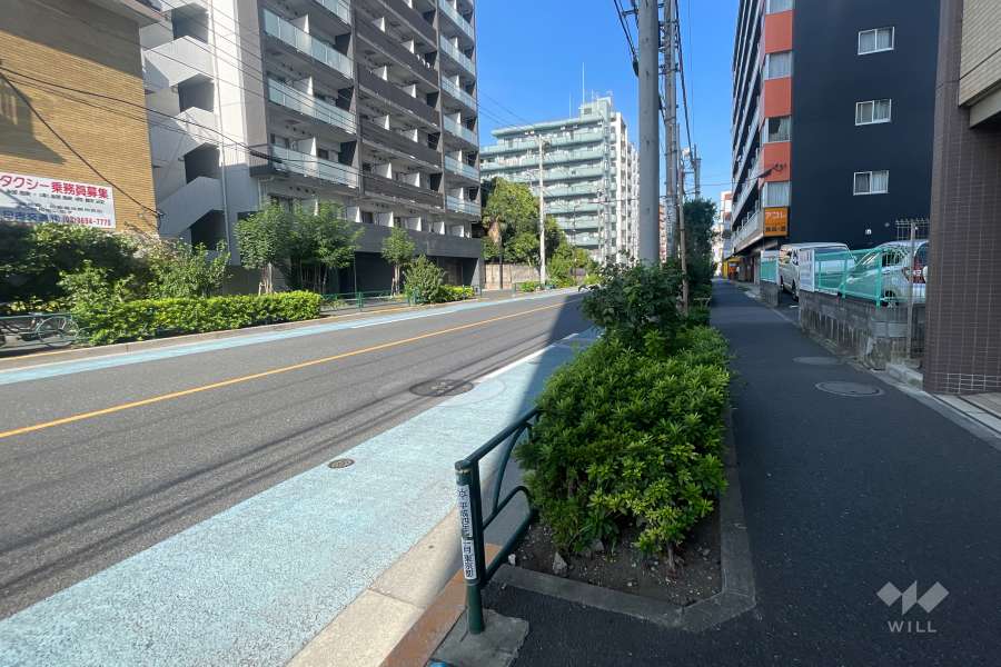 敷地の西側前面道路（北側から）