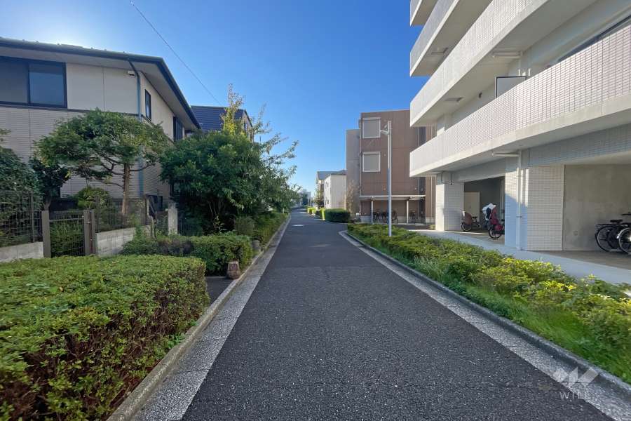 敷地東側の前面道路