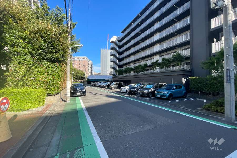 敷地の北側前面道路（西側から）
