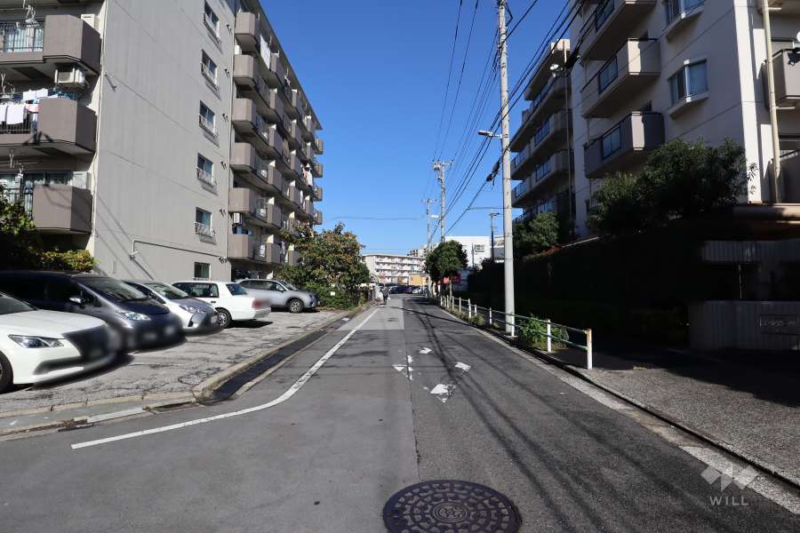 敷地東側の前面道路(南側から)