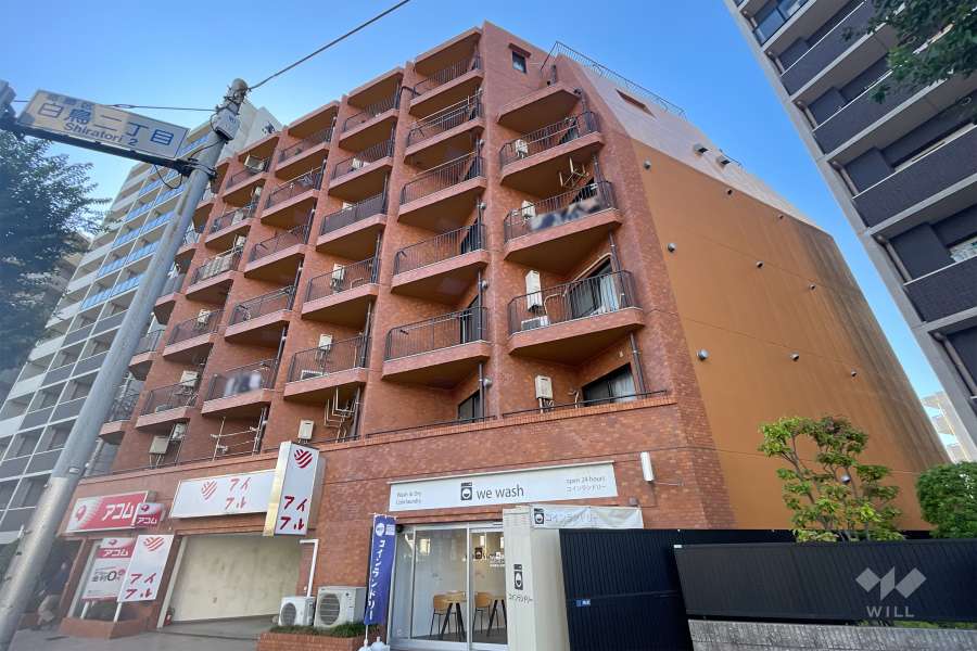 ワコー白鳥マンションの外観（東側から）　　