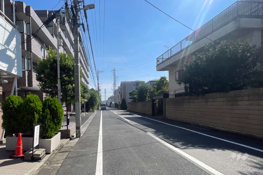 敷地の西側前面道路（北側から）