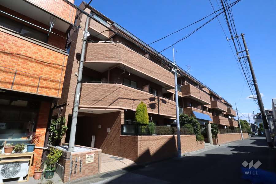 ライオンズマンション柴又の外観(南西側から)